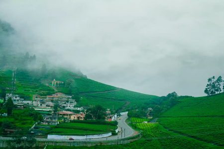 Kodaikanal & Ooty Tour