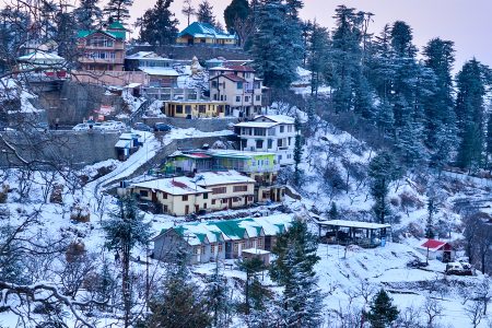 Shimla & Manali Honeymoon Tour Ex. Delhi