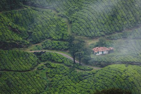 Munnar & Alleppey Tour Ex. Cochin