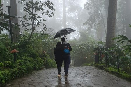 Munnar & Alleppey Honeymoon Tour Ex. Cochin