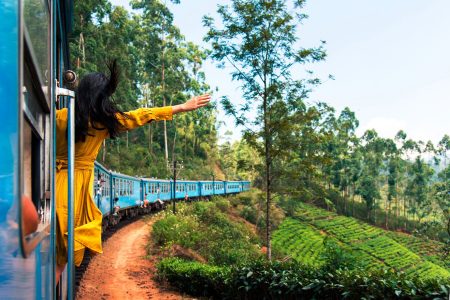 Ooty Romantic Honeymoon Tour